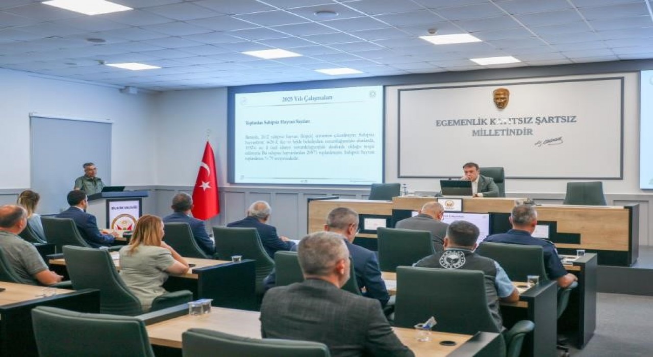 Bilecikte Hayvanları Koruma Kurulu Toplantısı gerçekleştirildi