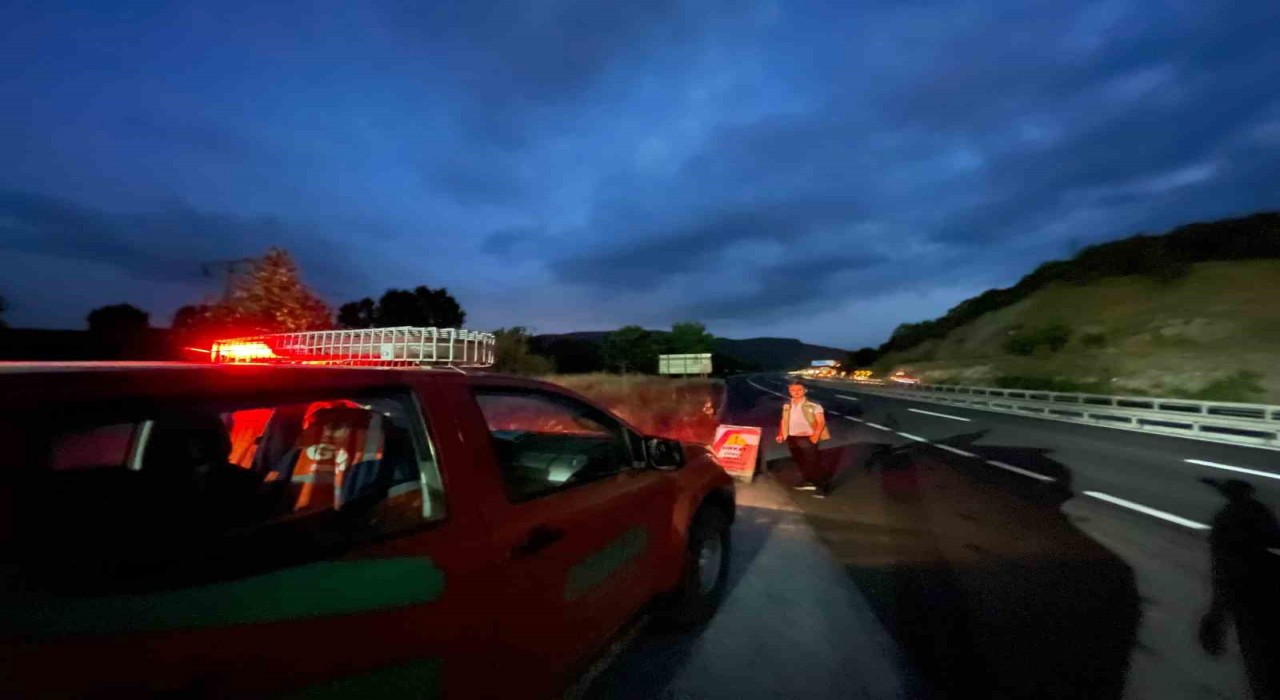 Bilecikte kaçak orman ürünlerine geçit yok