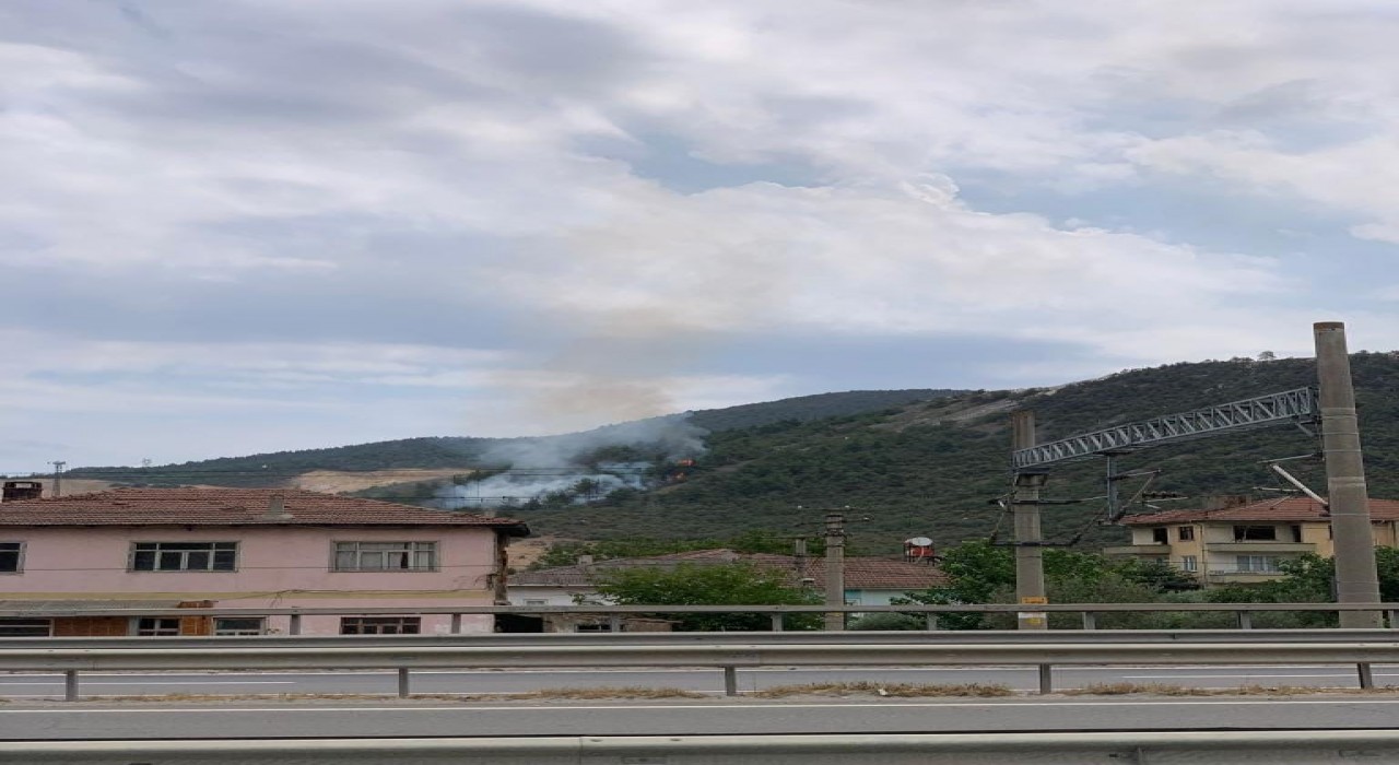 Bilecikte orman yangını