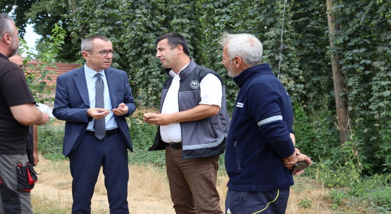 Bilecikte şerbetçi otu incelemesi: Türkiyede sadece Pazaryerinde yetişiyor