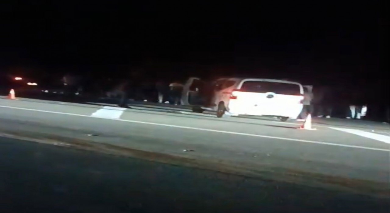 Bingölde hafif ticari araç ata çarptı: 1 ölü, 1 yaralı