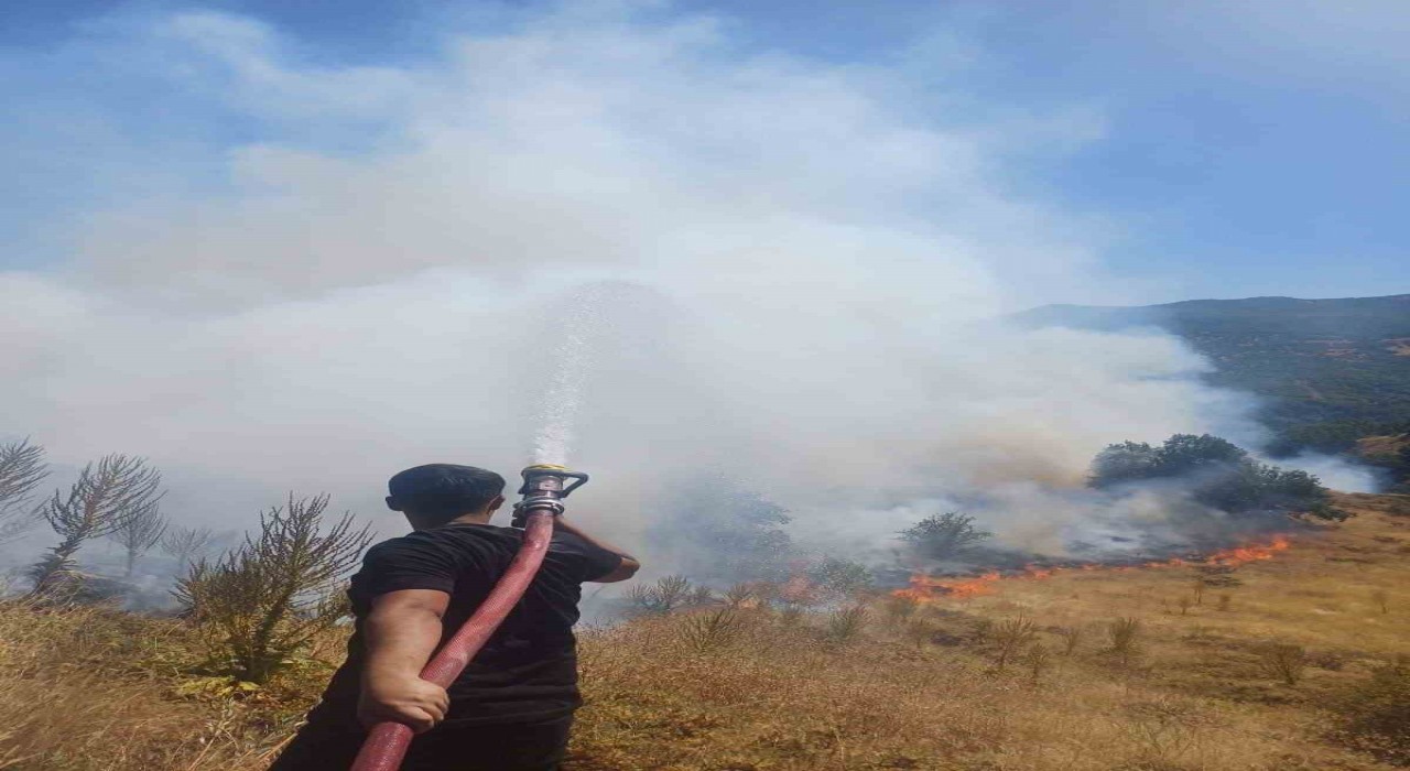 Bingölde kırsal alanda çıkan yangın söndürüldü