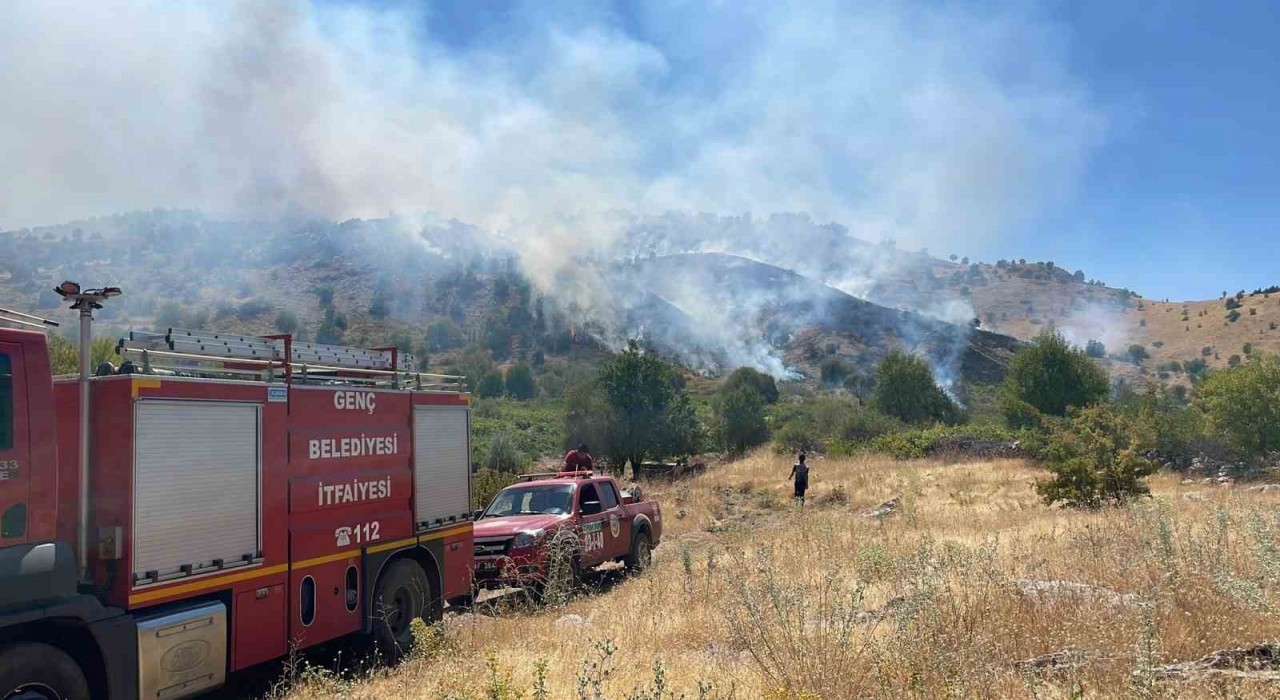 Bingölde köyde çıkan yangın ormana sıçradı, müdahale sürüyor