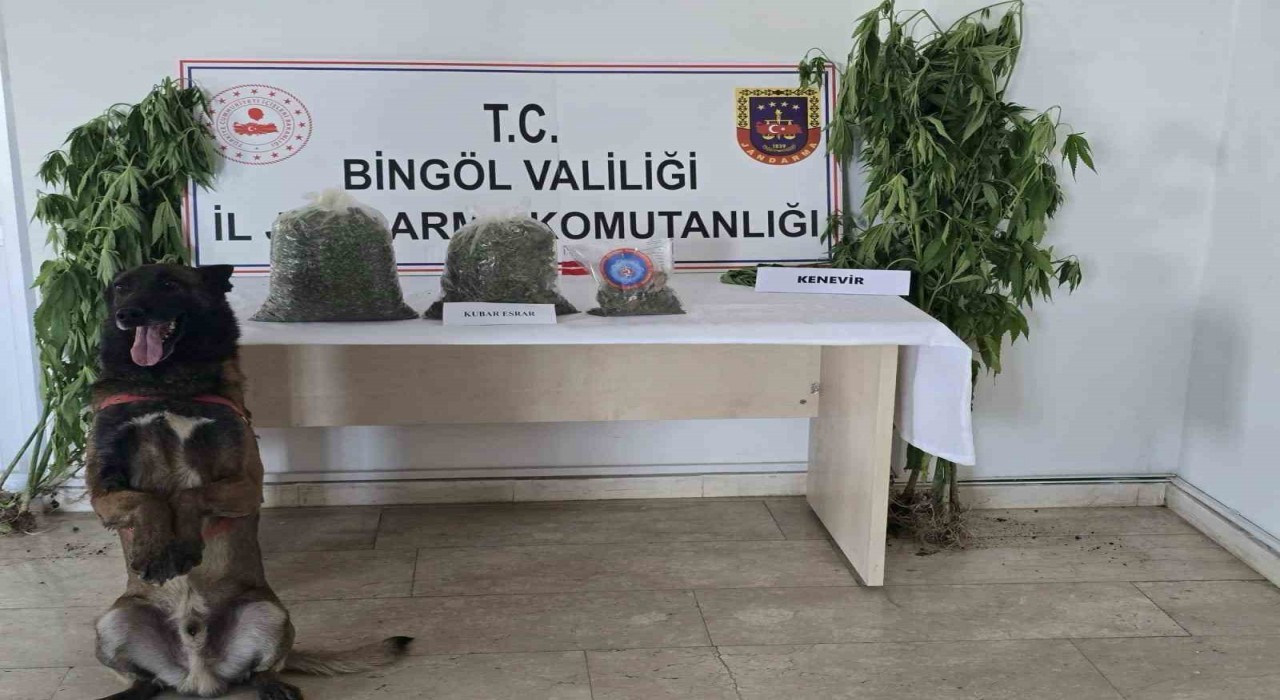 Bingölde uyuşturucuyla mücadele