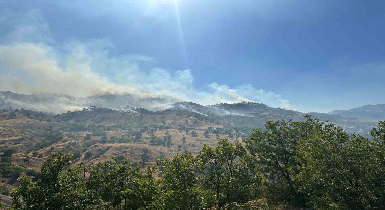 Bingöldeki orman yangını kontrol altına alındı