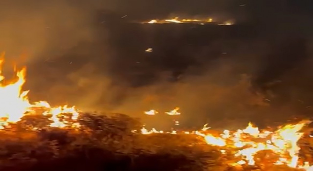 Bitliste örtü yangını