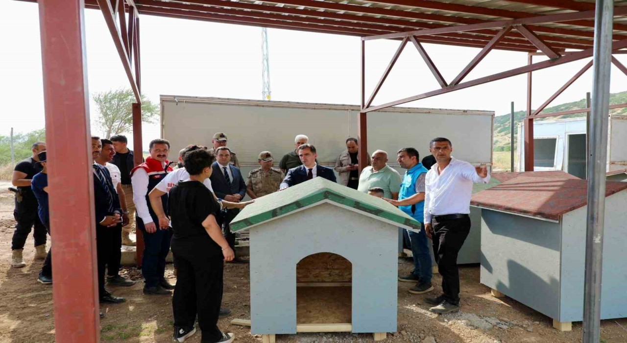 Bitlisteki hayvan barınağı ve doğal yaşam alanı çalışmaları