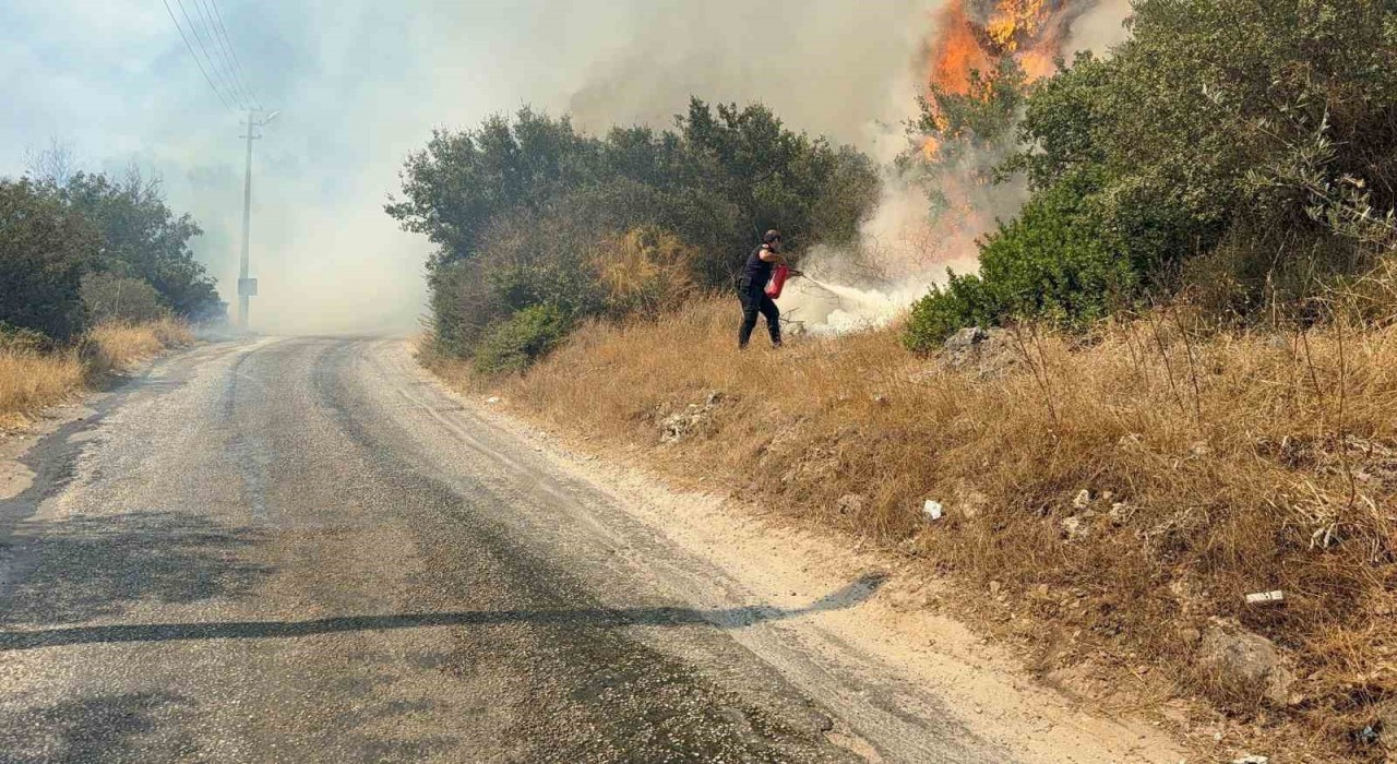 Bodrumda makilik alanda yangın paniği: Havadan ve karadan müdahale sürüyor