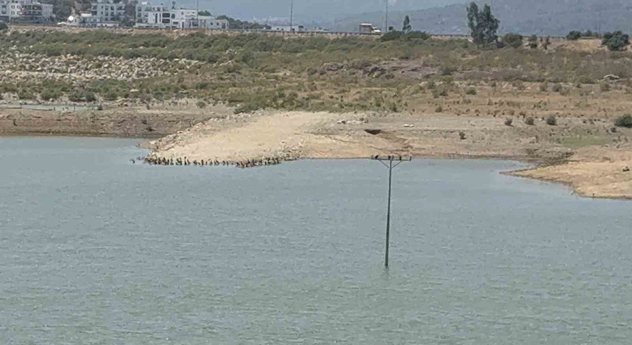 Bodrumda su alarmı: Barajlar kritik seviyeye geriledi