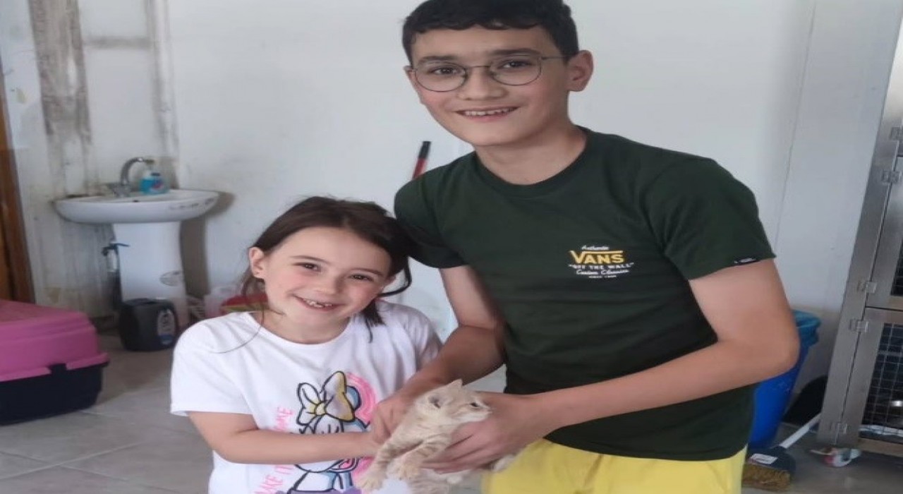 Boluda 10 sahipsiz sokak hayvanı yeni yuvasına kavuştu