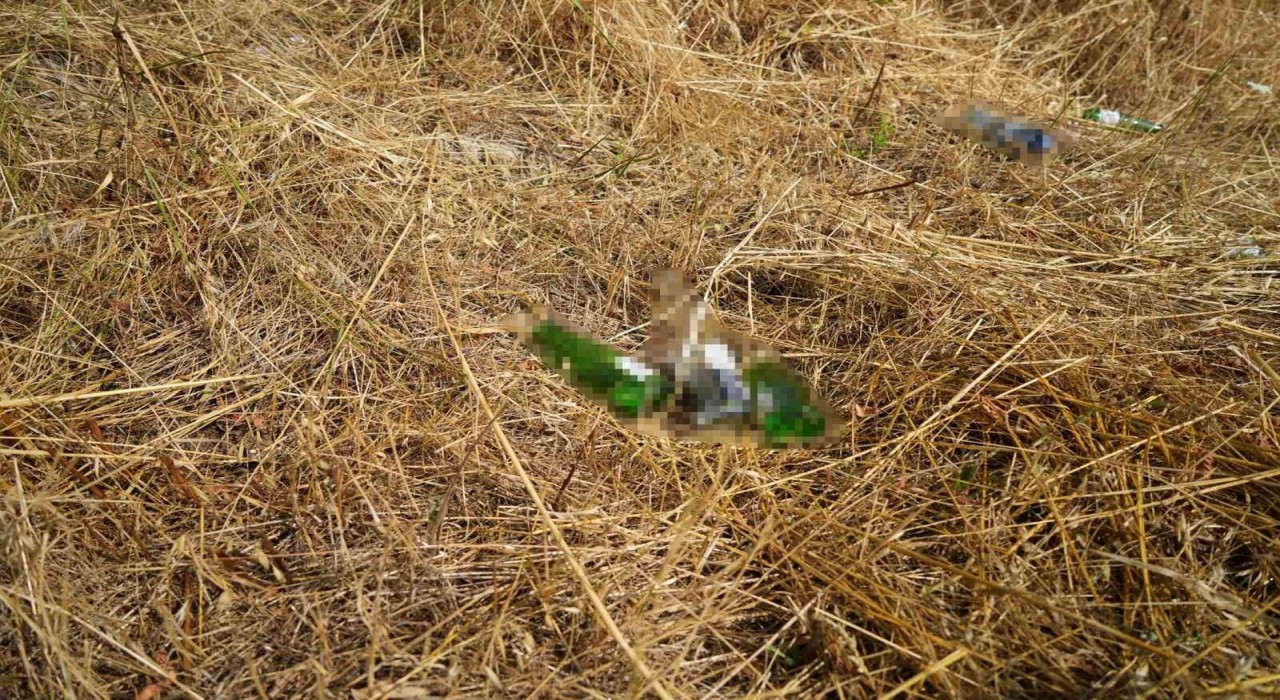 Boluda anız yakana cezalar arttı: Yanan alanlar parayla ölçülmez