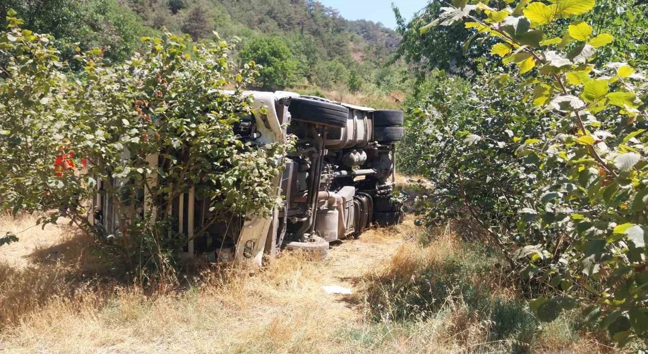 Boluda kontrolden çıkan tır fındık bahçesine devrildi