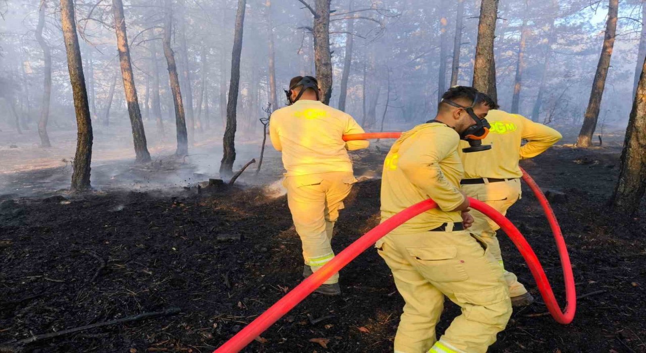 Boluda küle dönen 20 hektar ormanda, soğutma çalışması sürüyor
