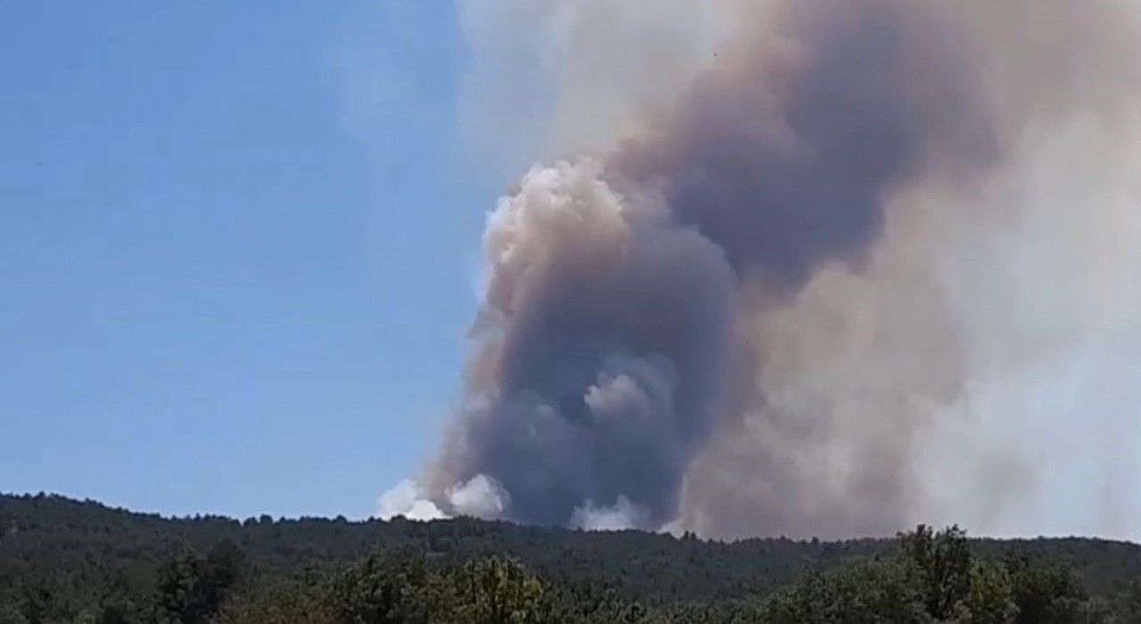 Boluda orman yangını başladı