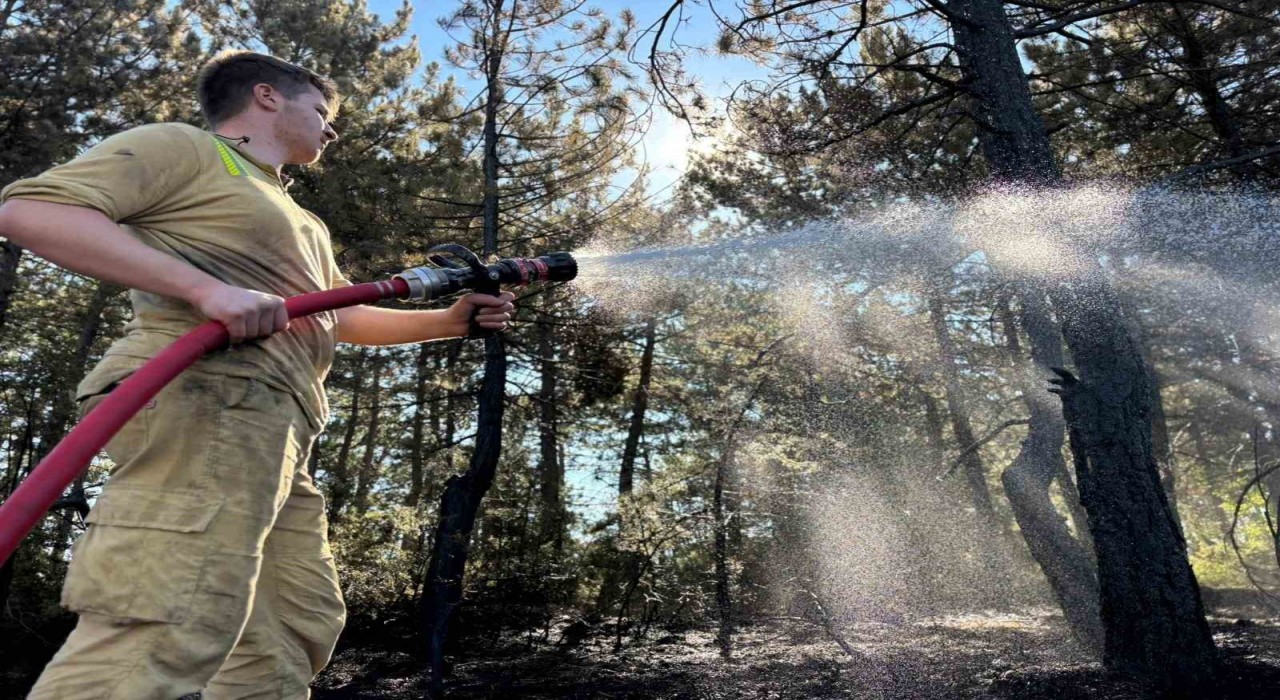 Boluda orman yangını büyük ölçüde kontrol altına alındı