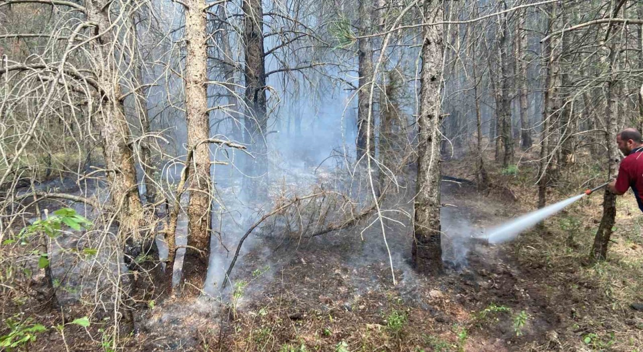 Boluda ormanlık alanda çıkan yangın kontrol altına alındı
