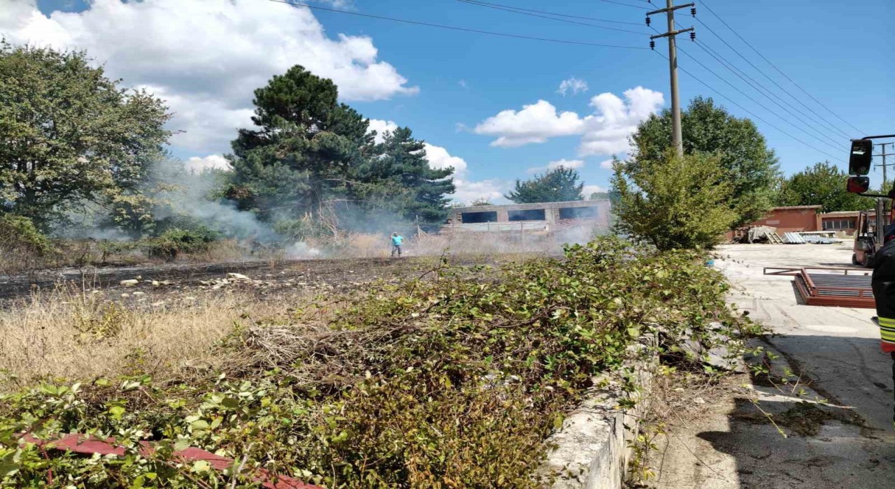 Boluda ot yangını büyümeden söndürüldü