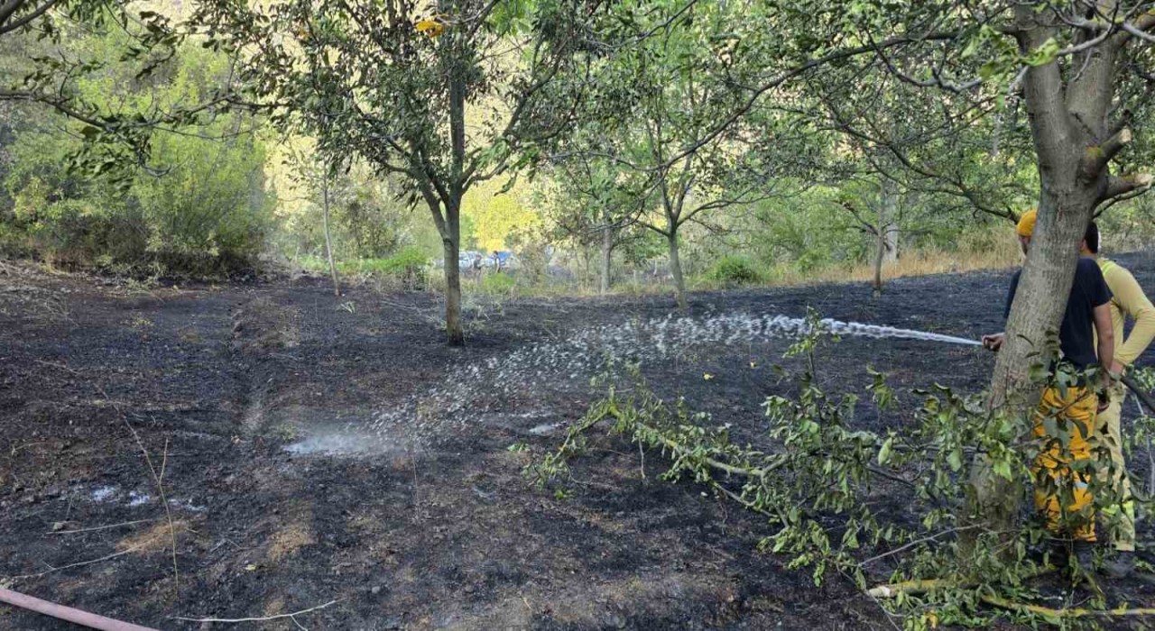 Boluda otluk alanda çıkan yangın ormana sıçramadan söndürüldü