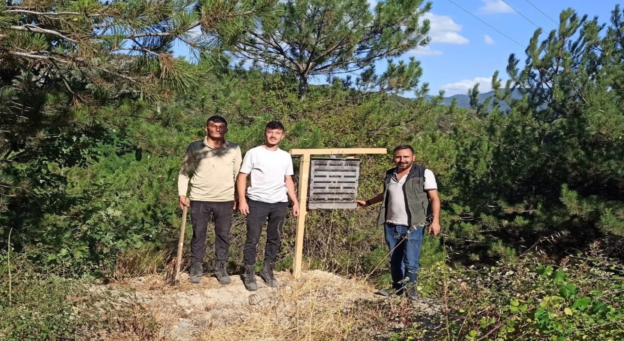 Boluda yanan ormanlık alanlara feromon tuzakları asıldı