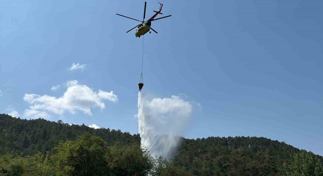 Boludaki orman yangını kısa sürede kontrol altına alındı