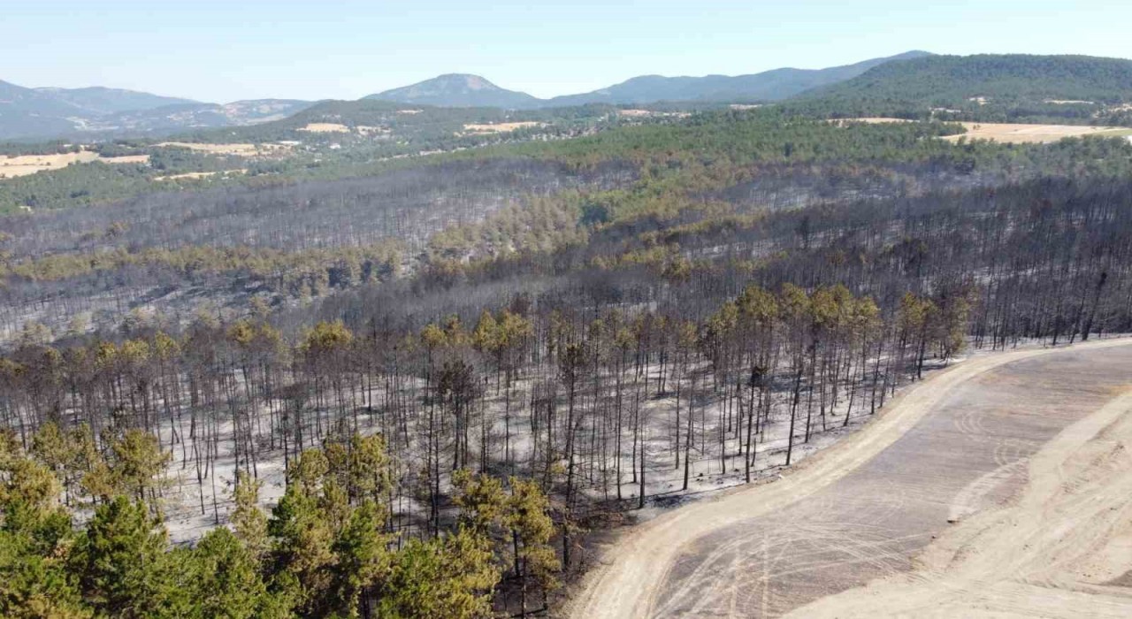 Boludaki orman yangını tamamen kontrol altına alındı