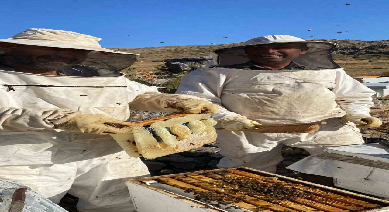 Bozkırda bal hasadı tamamlandı