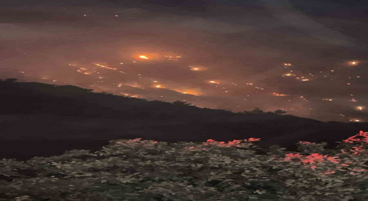 Buldanda başlayan orman yangını için ekipler söndürme çalışmalarını devam ediyor