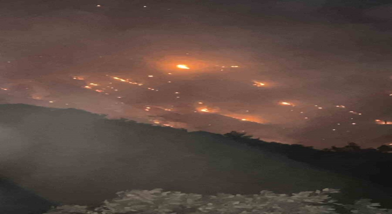 Buldanda başlayan yangın Aydının bazı mahallerine ulaştı