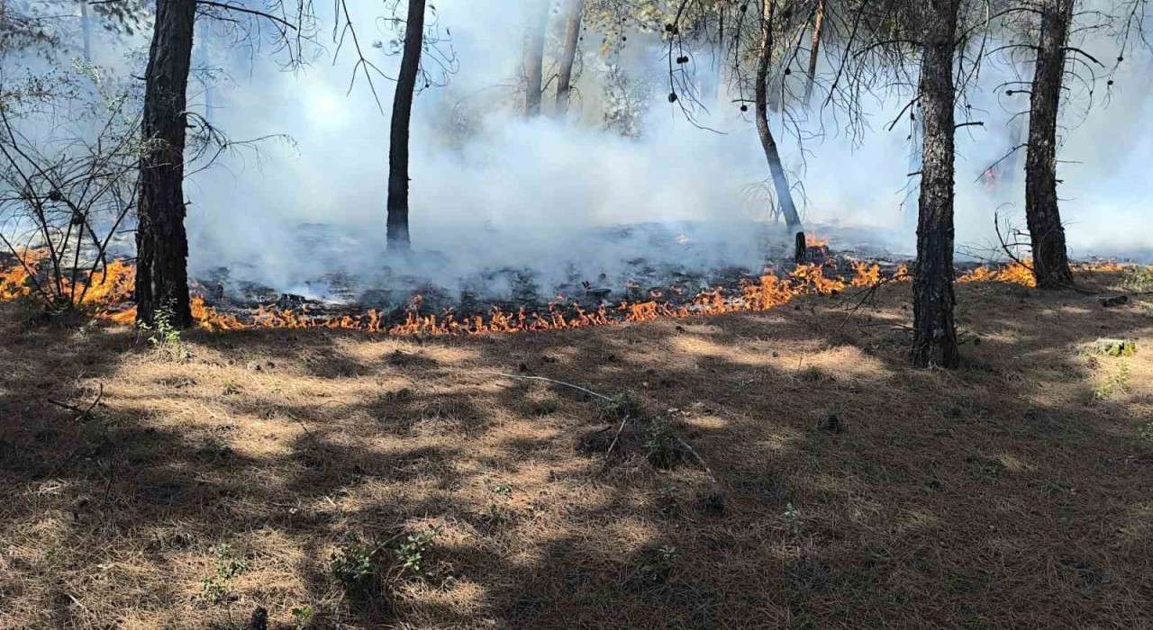 Buldanda çıkan orman yangını kısa sürede kontrol altına alındı