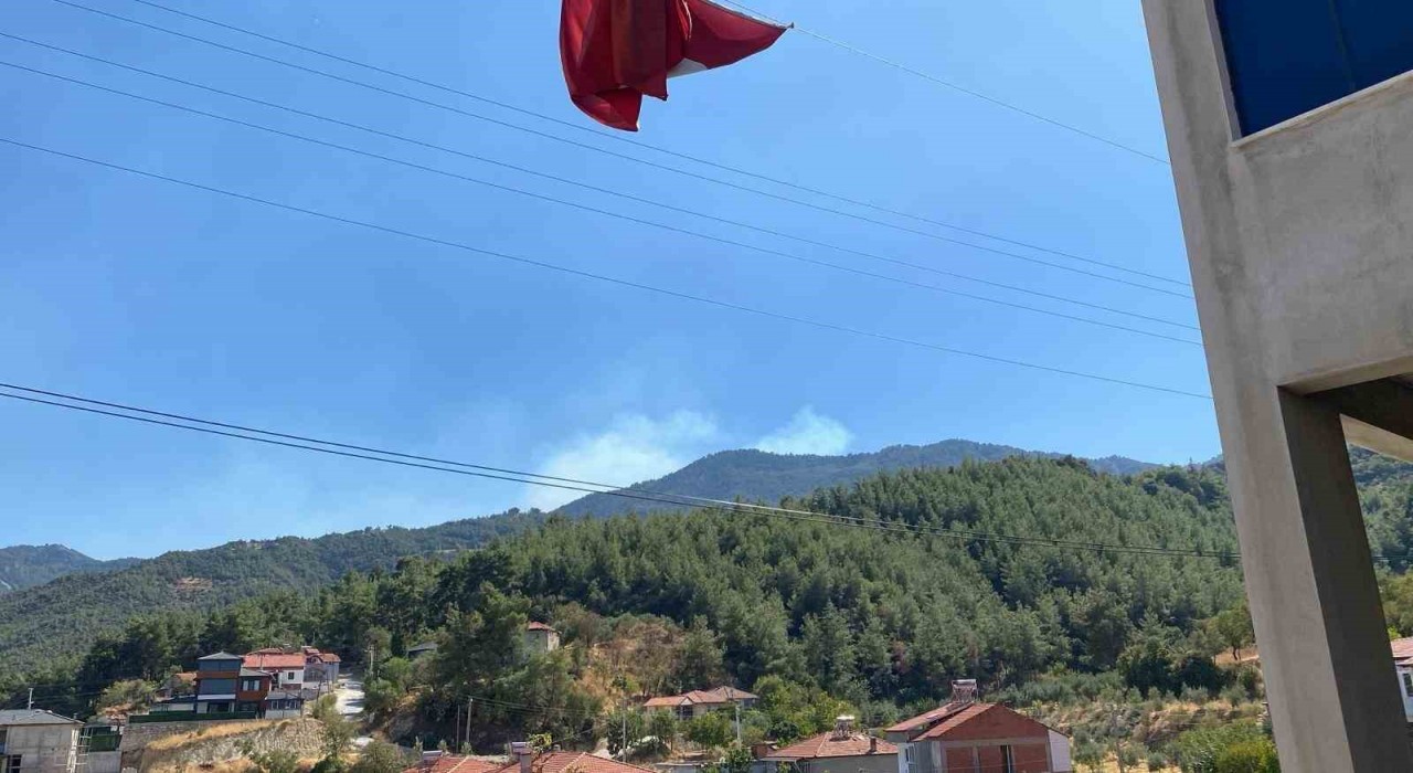 Buldanda ormanlık alanda yangın çıktı