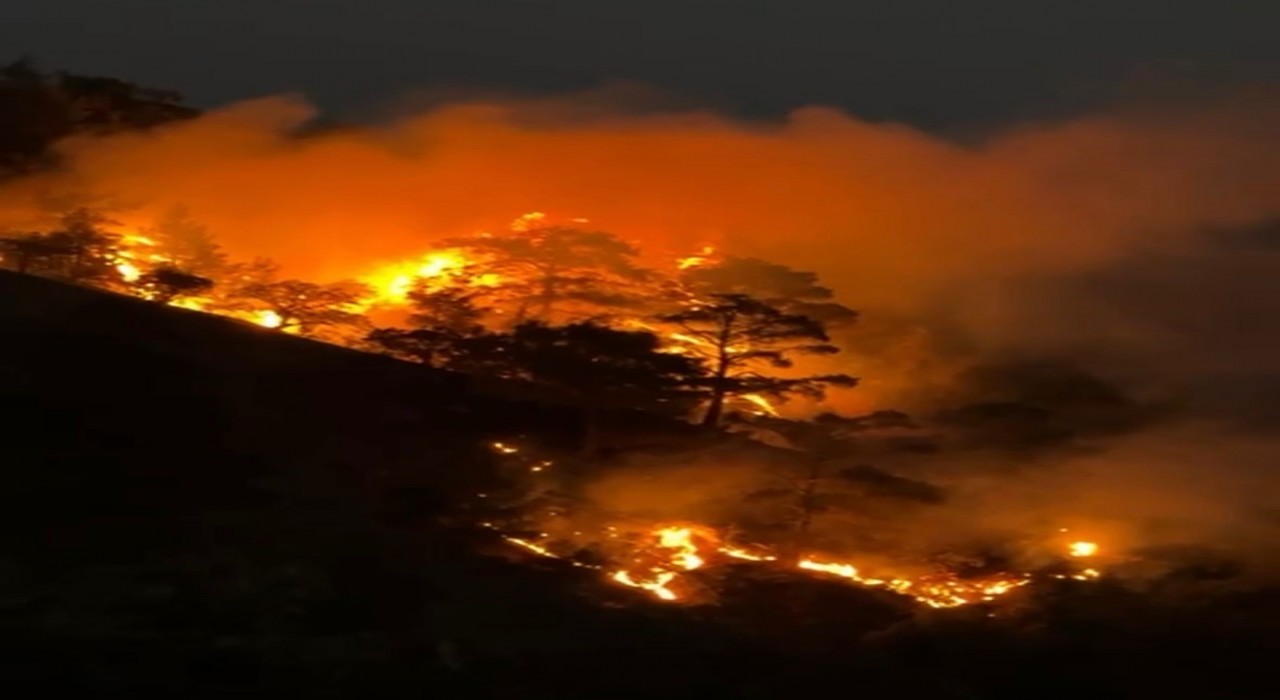 Buldanda sarp arazide orman yangını çıktı