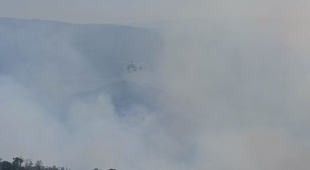 Buldandaki orman yangına müdahale sürüyor