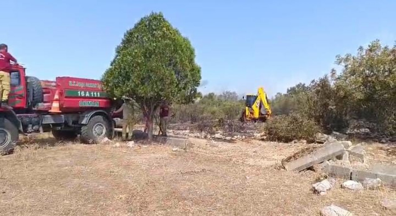 Bursa Nilüferdeki orman yangını kontrol altına alındı
