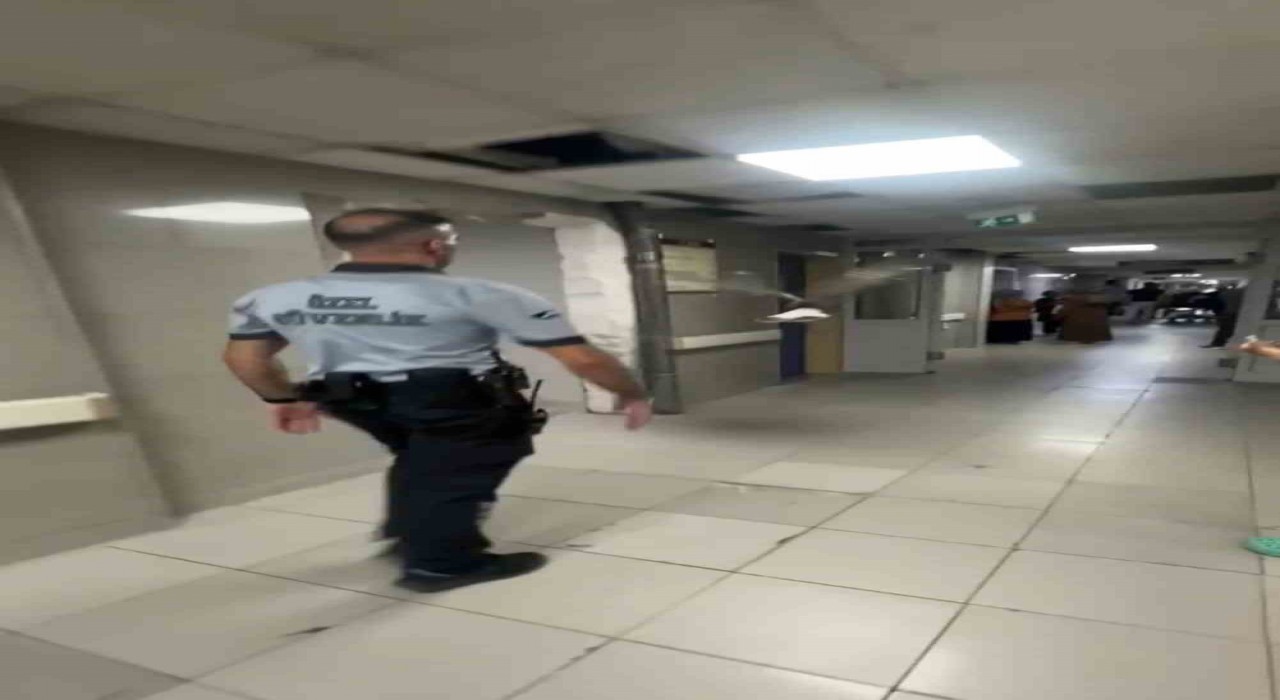 Bursada bir martı acile uçarak girdi