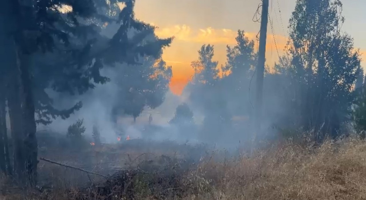 Bursada korkutan orman yangını