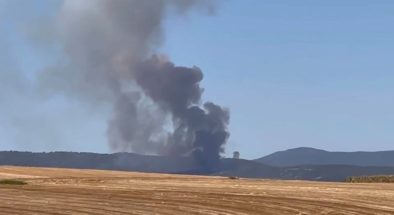 Bursada orman yangını...