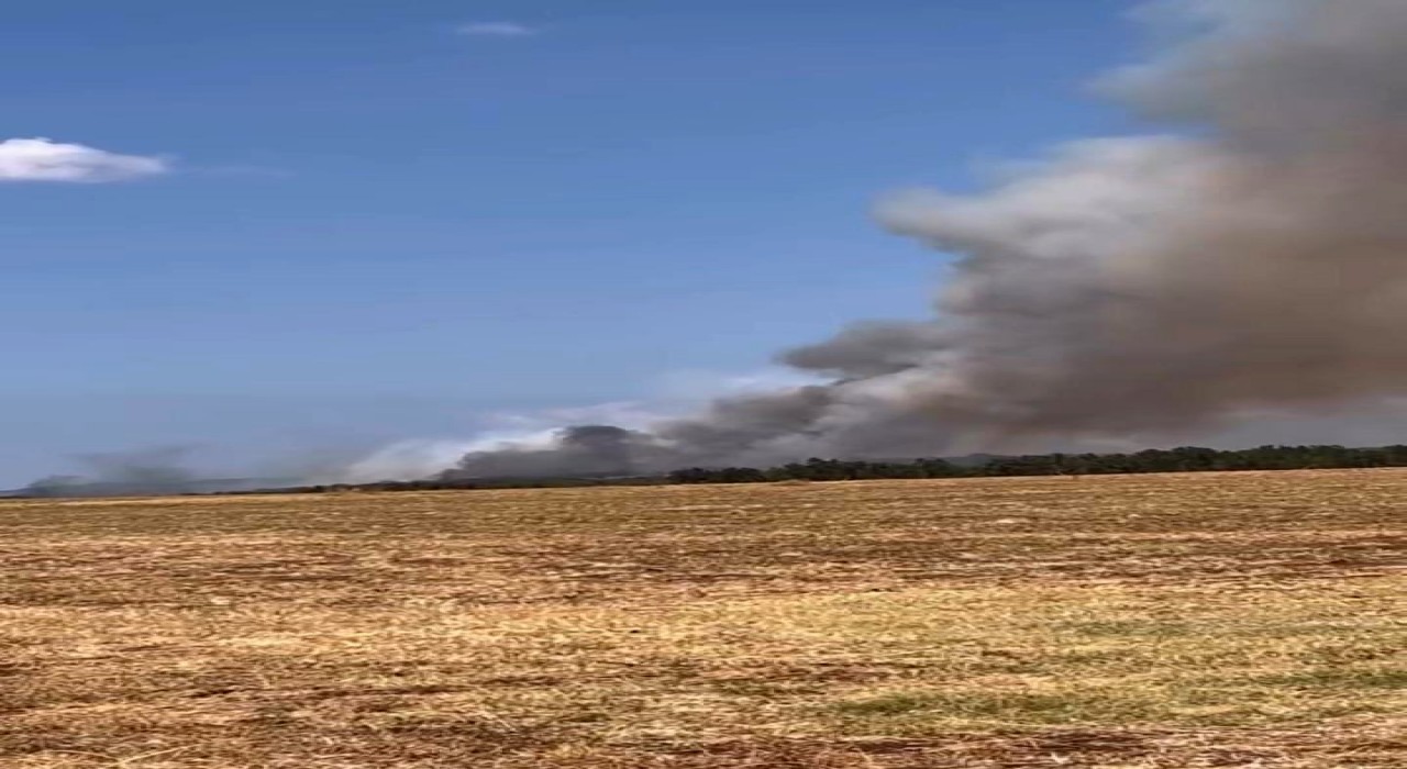Bursada orman yangını, çok sayıda ekip müdahale ediyor