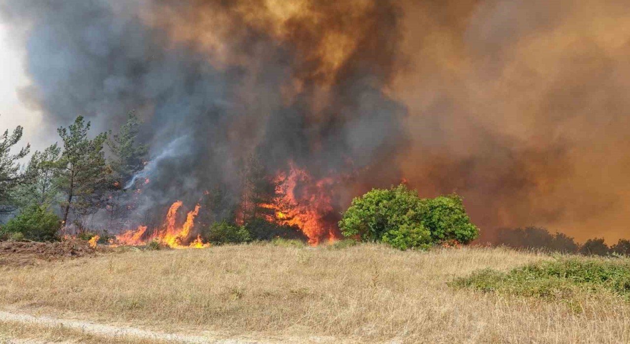 Bursada orman yangını kontrol altına alındı