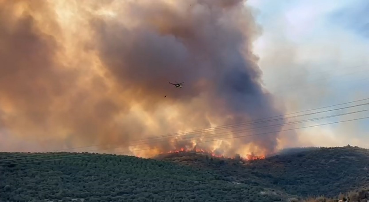 Bursada orman yangınıyla amansız mücadele sürüyor
