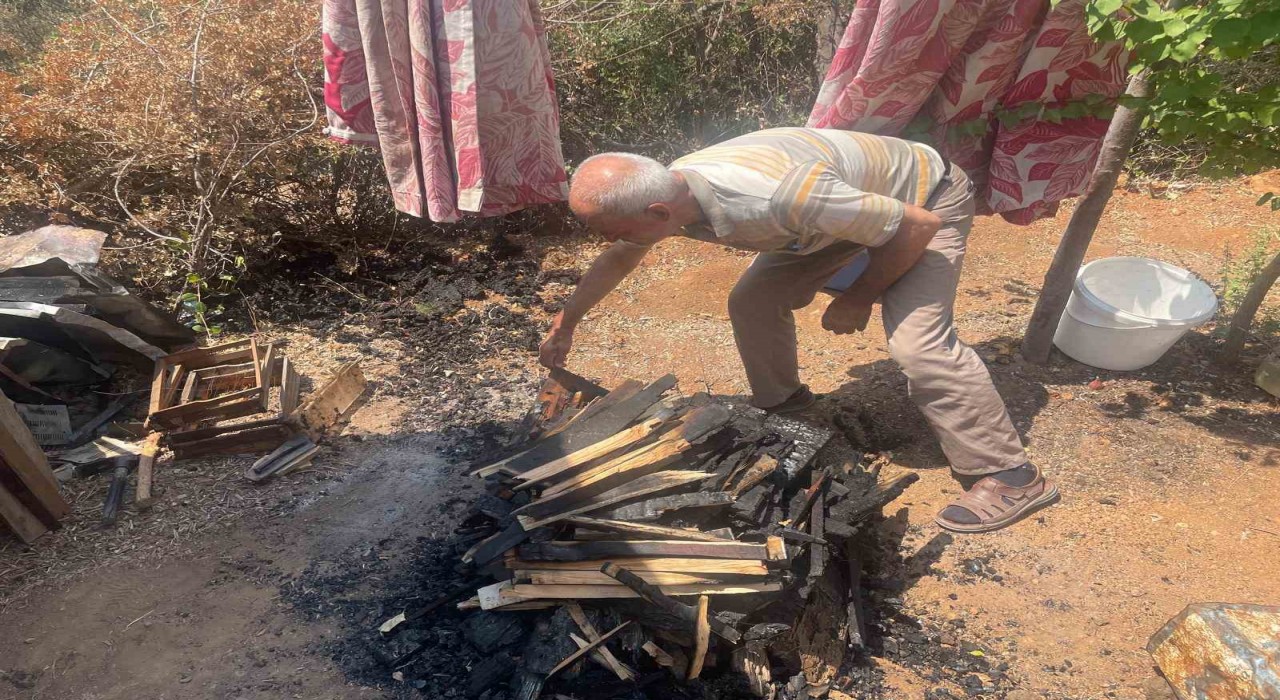 Bursadaki yangında 300 kovan arı telef oldu