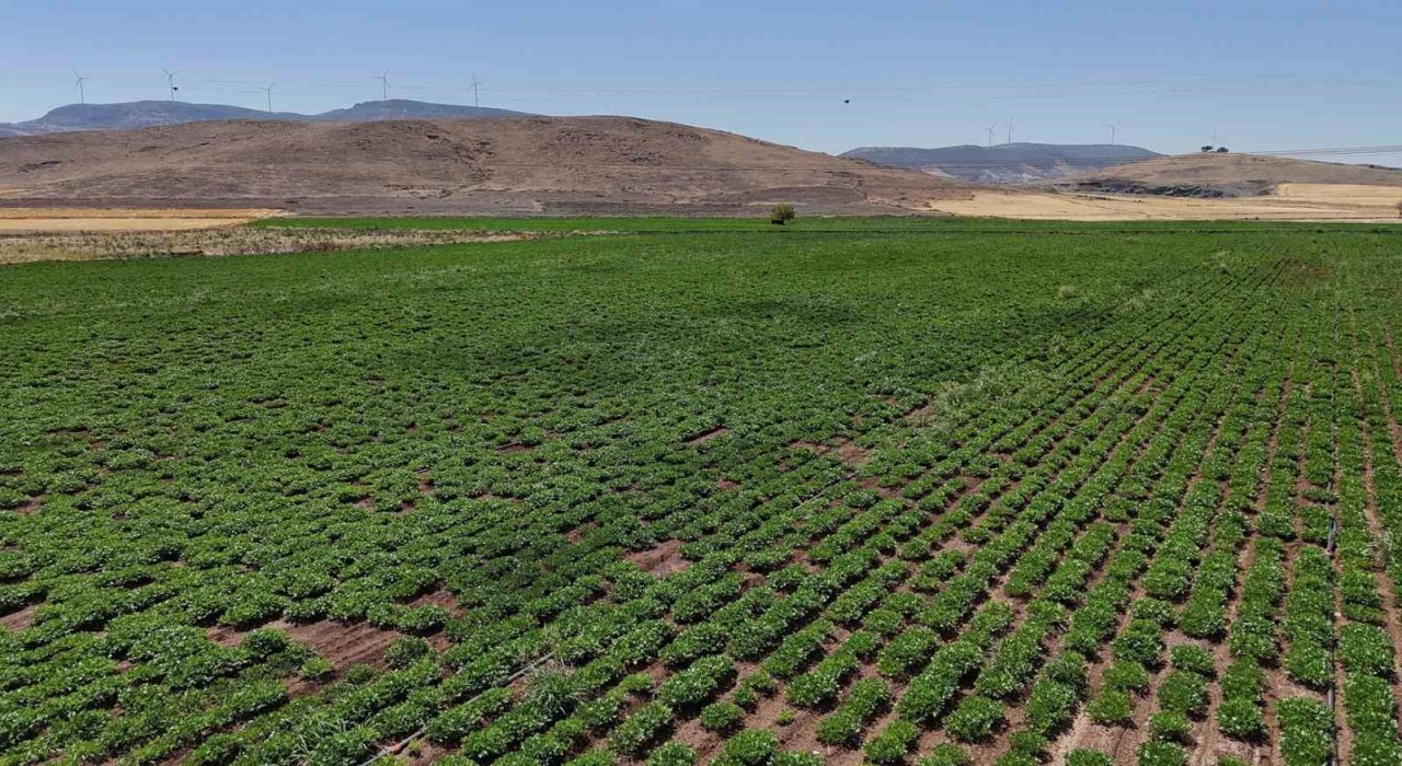 Büyükşehir, akıllı sulama sistemlerini Nurdağı ve İslahiyede hayata geçirdi