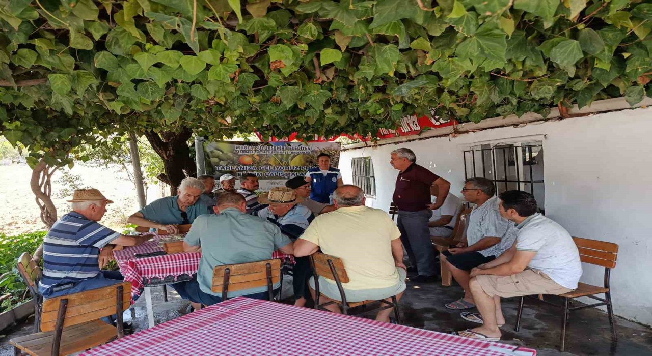 Büyükşehir ‘Tarlanıza Geliyoruz projesiyle Milaslı üreticilerin yanında