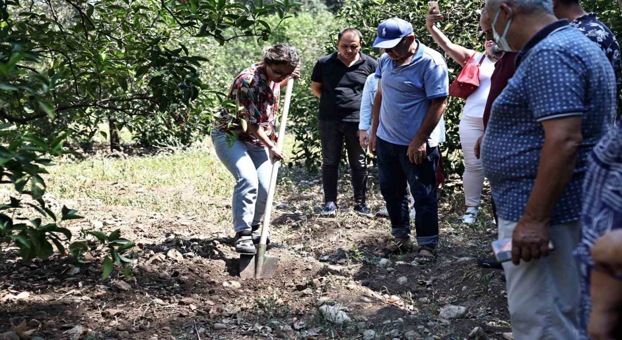 Büyükşehirden üreticiyi eğitim desteği