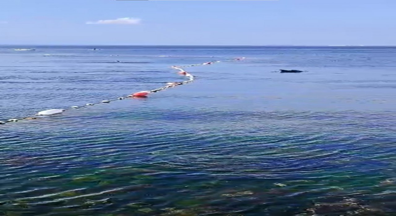 Caddebostanda yunuslarla vatandaşın yüzme keyfi kamerada