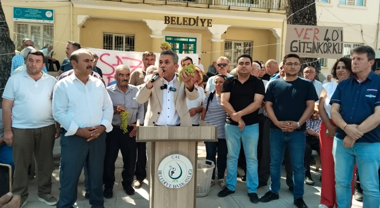 Çalda yılan, yılan besleyici tartışması