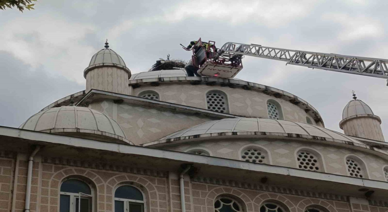 Cami kubbesinde mahsur kalan leyleği itfaiye kurtardı