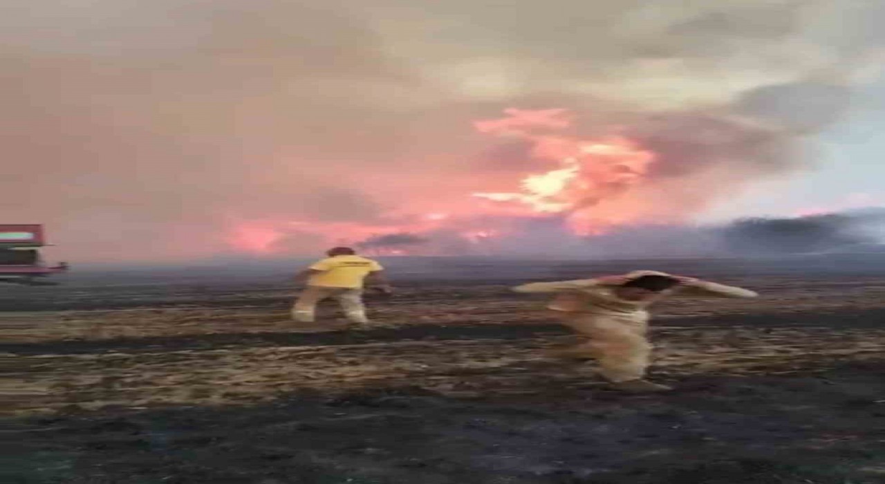 Çanakkalede alev savaşçılarının zorlu mücadelesi kamerada