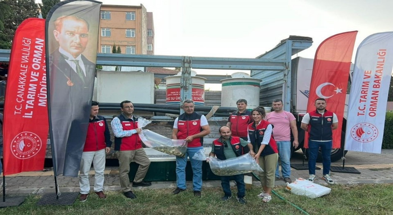 Çanakkalede baraj ve göletlere 2 milyon aynalı sazan yavrusu bırakıldı