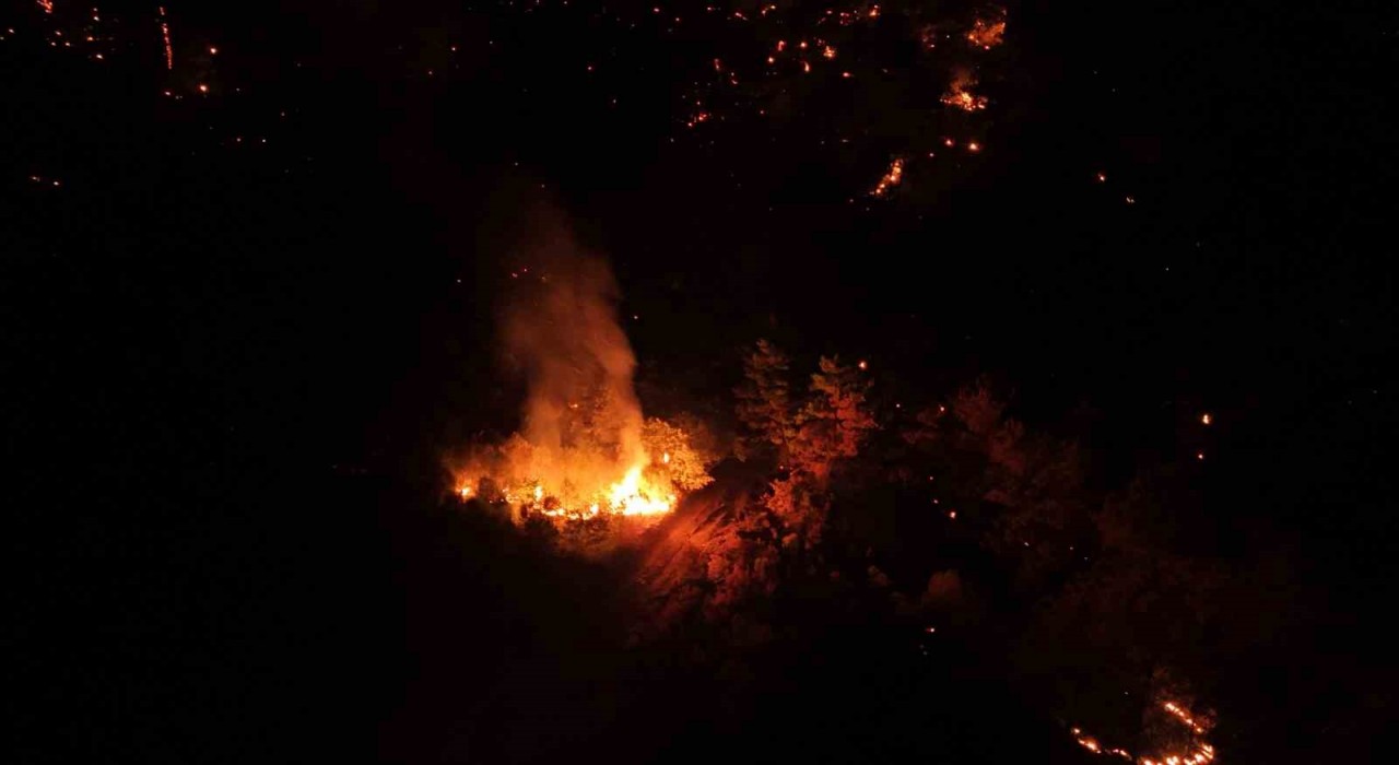 Çanakkalede gece saatlerinde çıkan orman yangını kontrol altına alındı