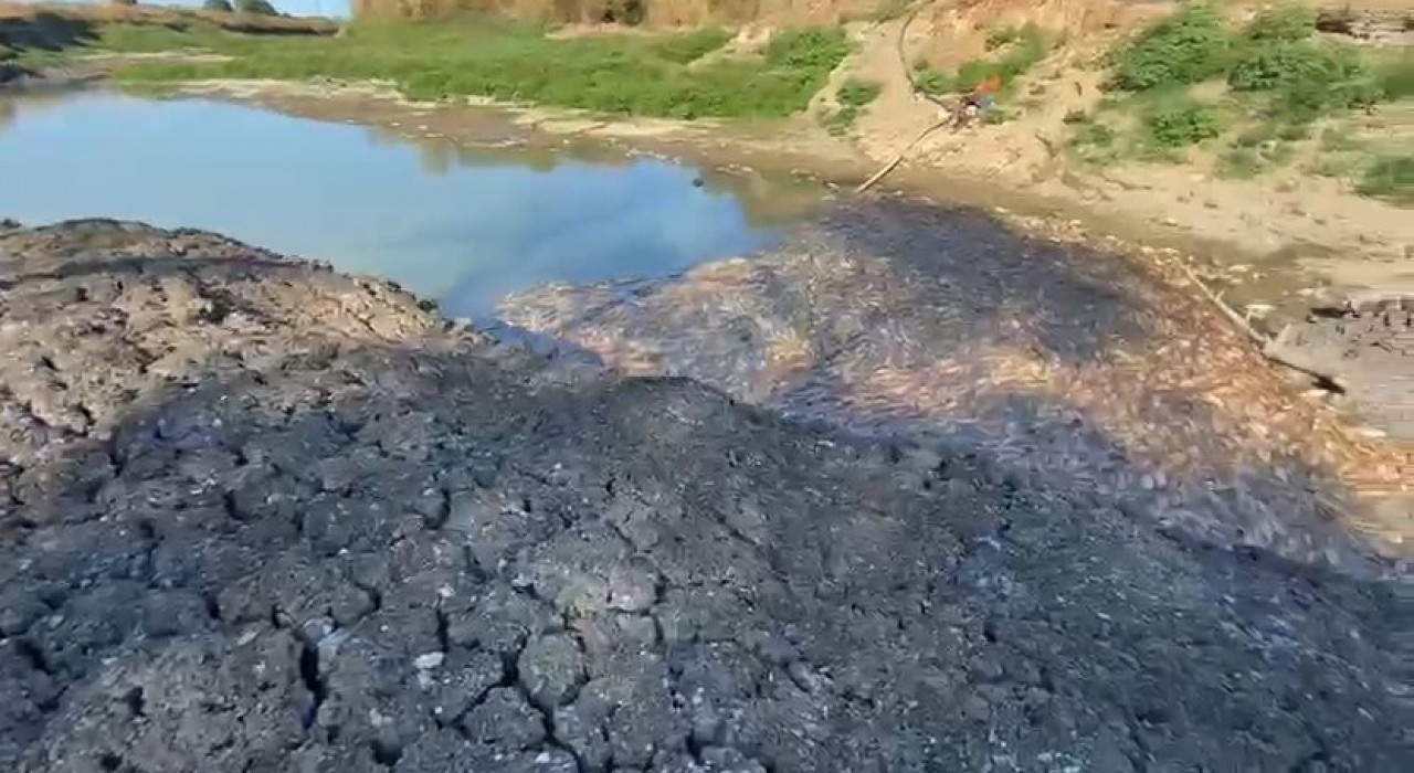 Çanakkalede Kocabaş Çayı alarm verdi, toplu balık ölümleri yaşandı